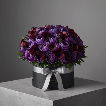 Twilight Grace Premier Box