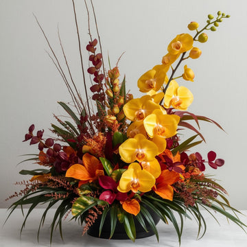 Dawn Contour Arrangement